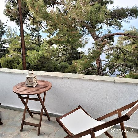Pine Trees And Sea View Houses In Hydra - Daphne, Chloe, Myrto, Eleni Room photo