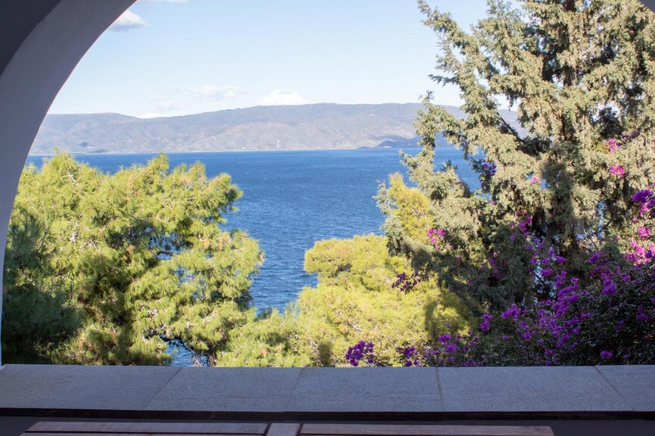 Pine Trees And Sea View Houses In Hydra - Daphne, Chloe, Myrto, Eleni Exterior photo